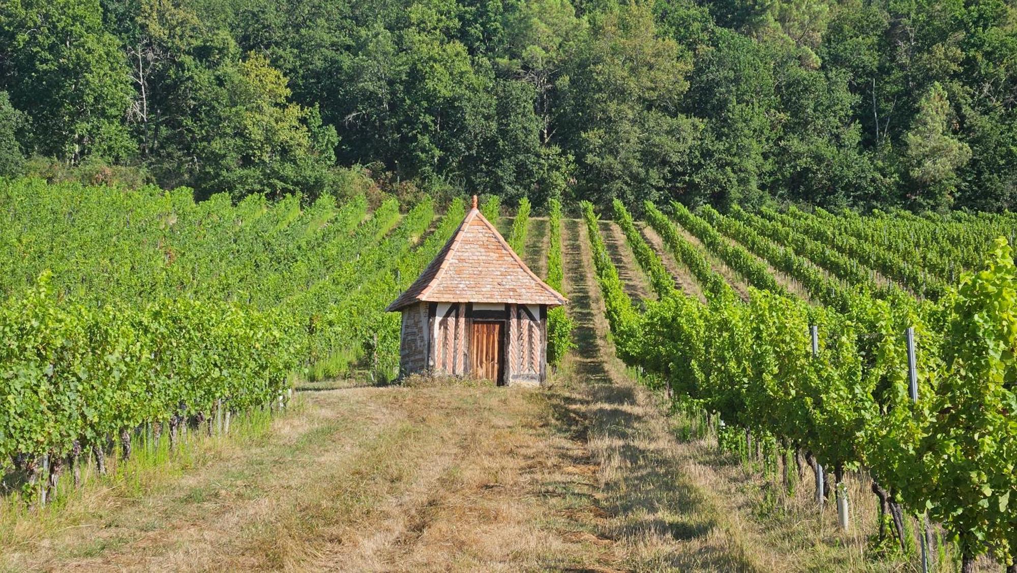 Chambres Et Gites Les Deux Chenes Pres De Bergerac Le Fleix Exteriér fotografie