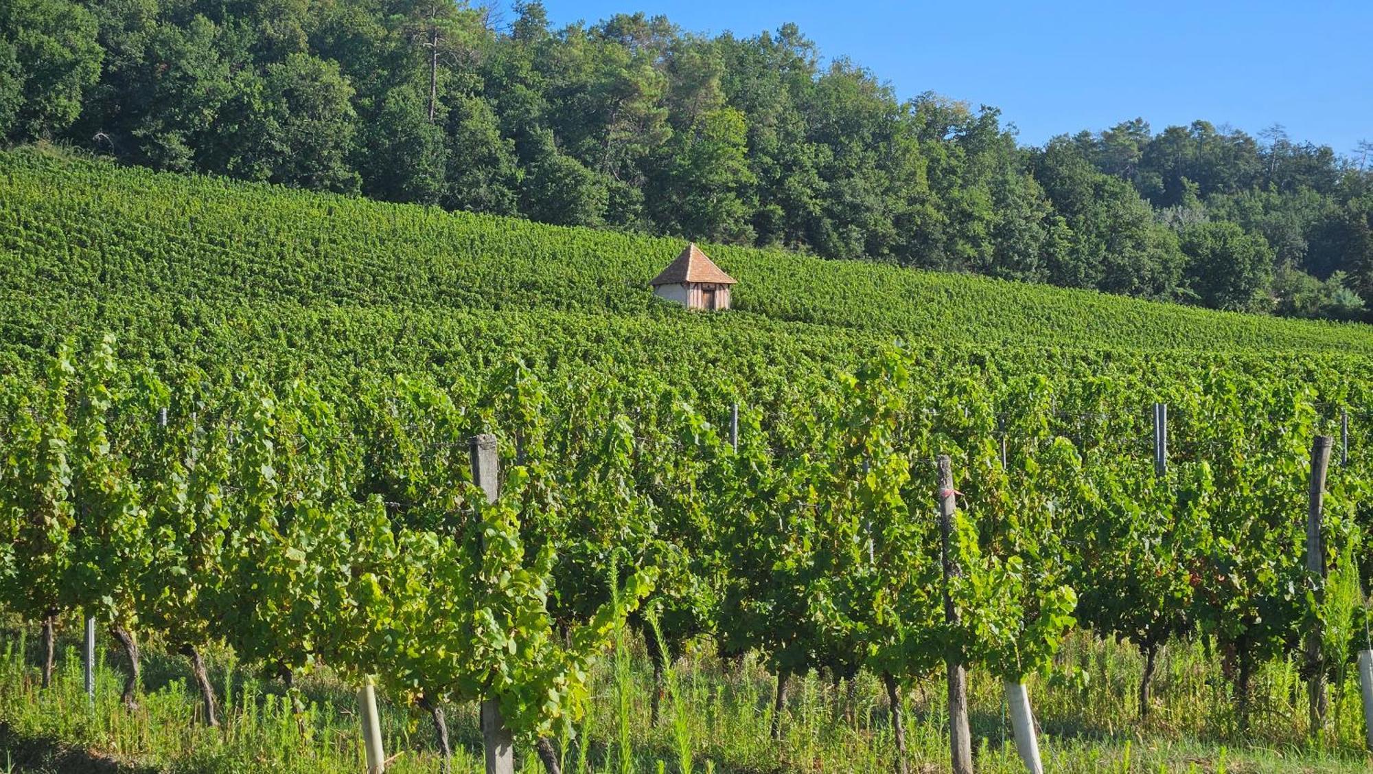 Chambres Et Gites Les Deux Chenes Pres De Bergerac Le Fleix Exteriér fotografie