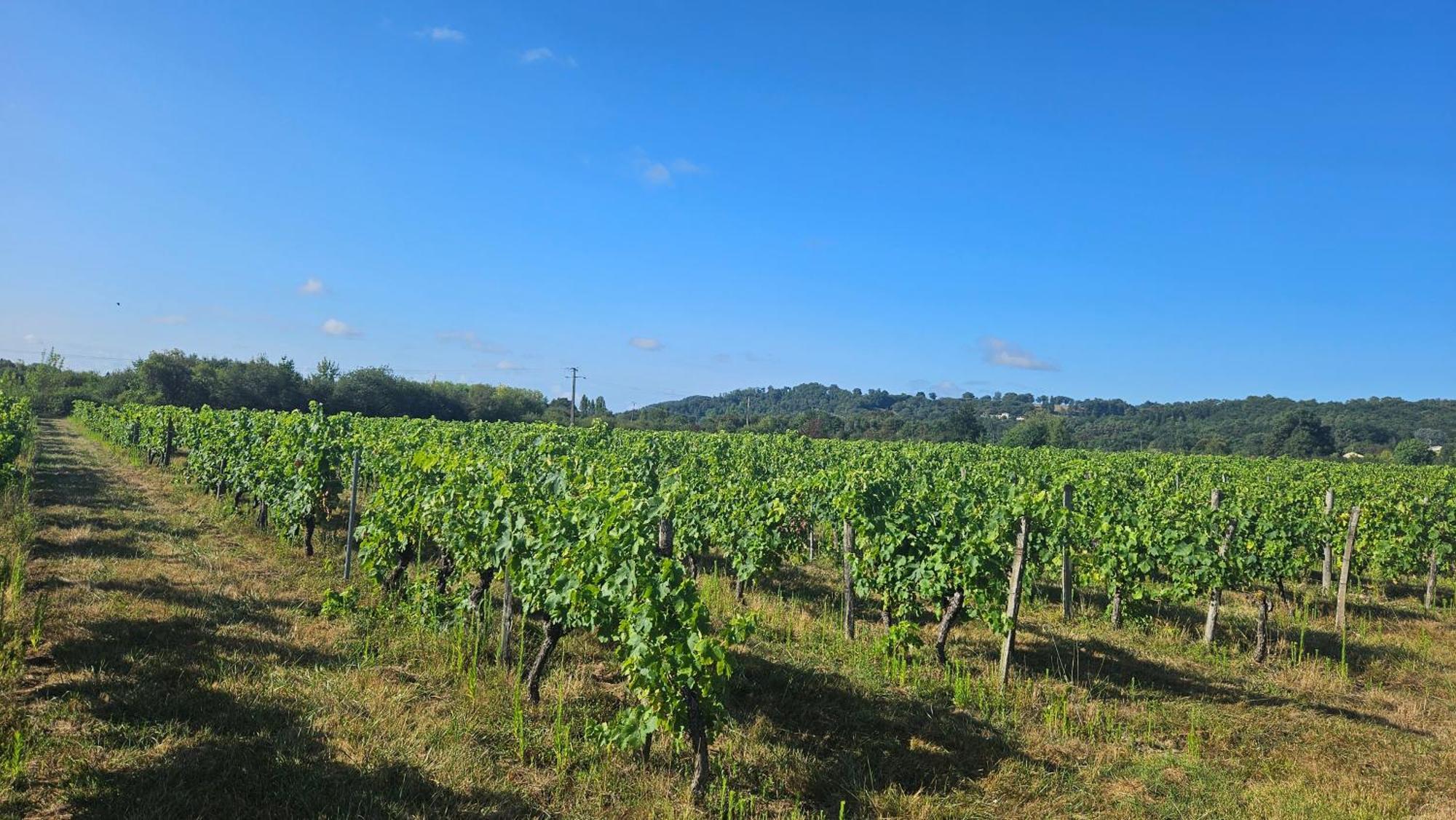 Chambres Et Gites Les Deux Chenes Pres De Bergerac Le Fleix Exteriér fotografie